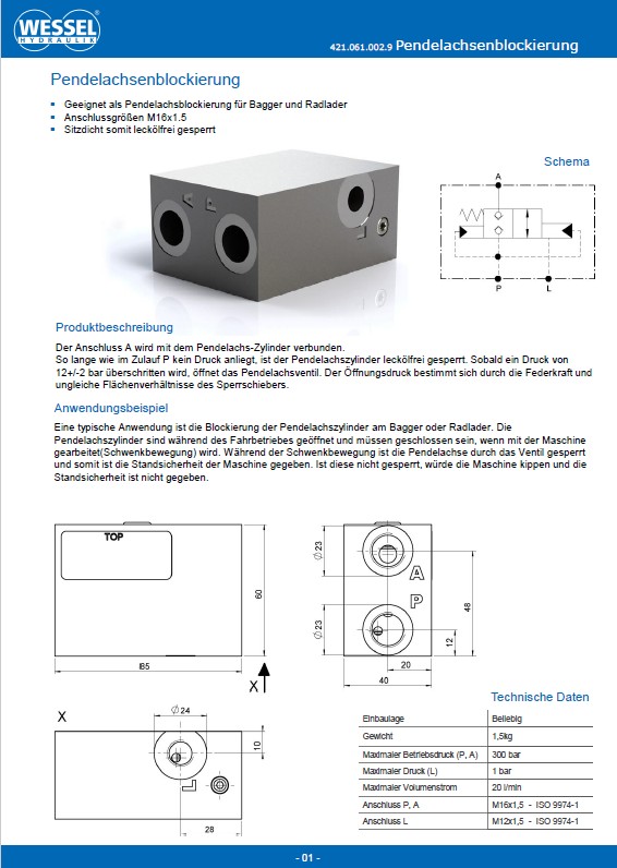 Pendelachse_D-1.pdf